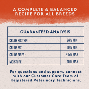 Natural Balance Limited Ingredient Grain Free Salmon & Sweet Potato Recipe Dry Dog Food