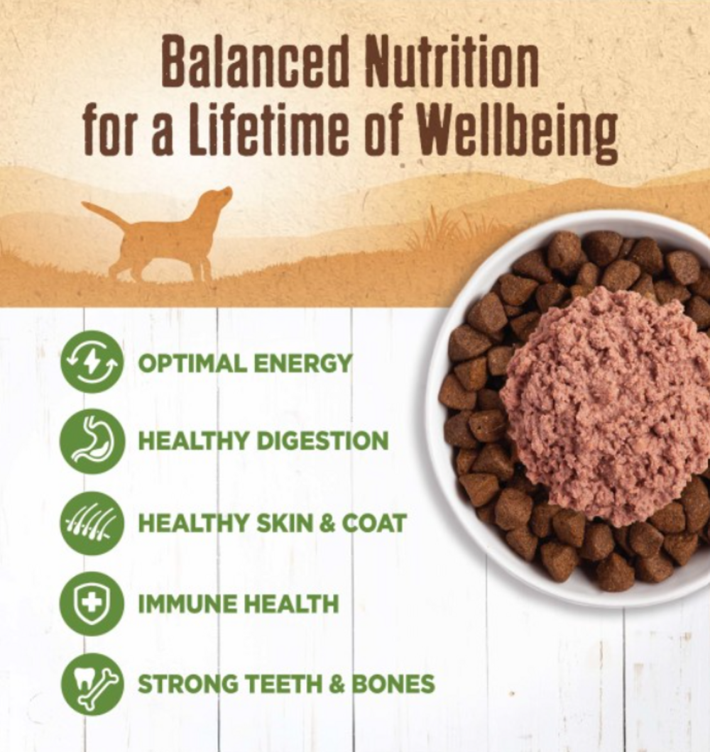 Wellness Natural Grain Free 95% Lamb Recipe Adult Wet Canned Dog Wellness Natural Grain Free 95% Lamb Recipe Adult Wet Canned Dog