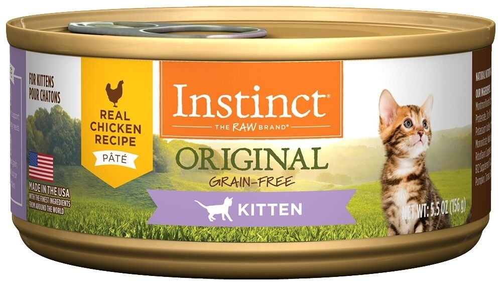 Free Cat Food NYC: Discover the Best Spots to Get Free Meals for Your Feline