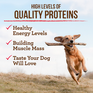 Merrick Premium Grain Free Dry Adult Wholesome And Natural Kibble With Beef, Bison And Sweet Potato