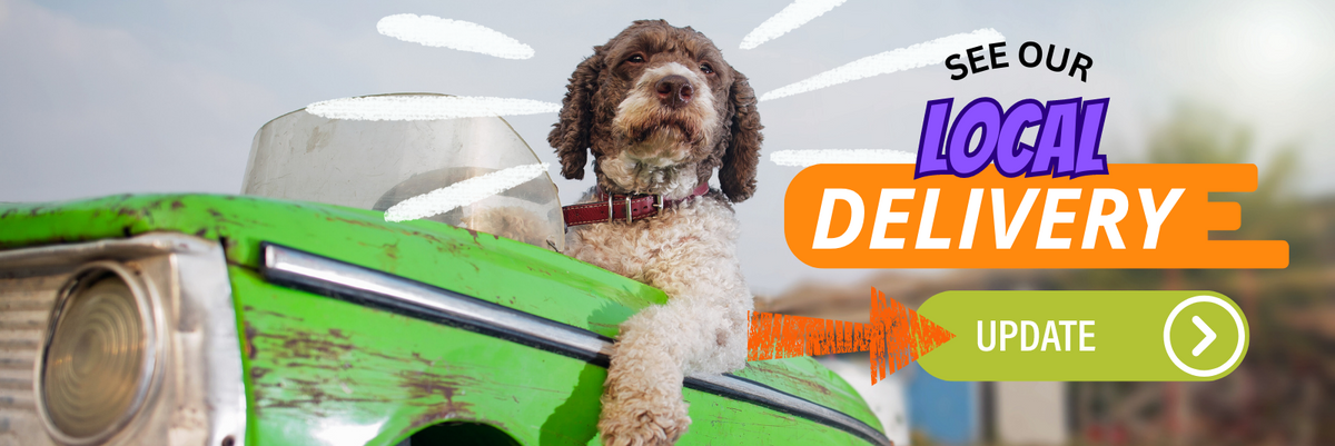 Dog 2024 store brooklyn