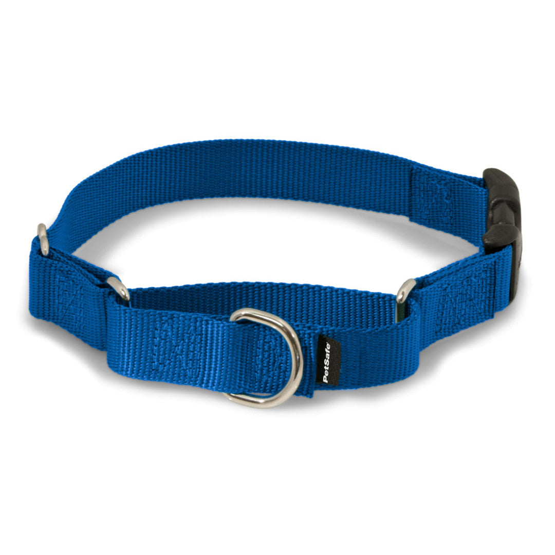 PetSafe Martingale Collar with Quick Snap Buckle