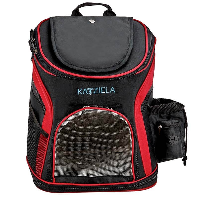 alyasha travel backpack Katziela Voyager Backpack