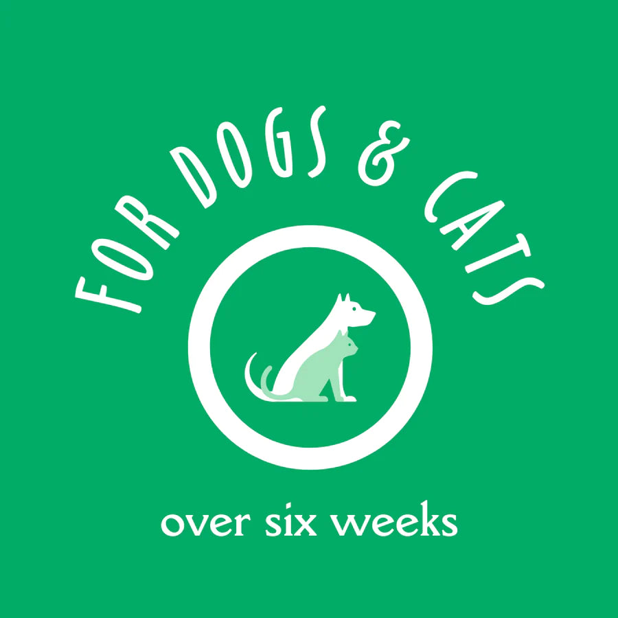 Earthbath hot spot sales shampoo